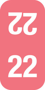 Year Code Labels 2022