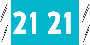Year Code Labels 2021
