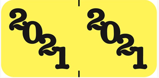 Year Code Label 2021 Yellow