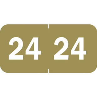 Year Code Label 2024 Gold