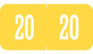 Year Code Labels 2020 Yellow