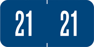 Year Code Labels 2021 Blue