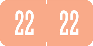 Year Code Labels 2022 Pink