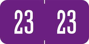 Year Code Labels 2023 Purple