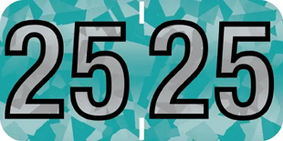 PMA Holographic Compatible