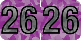 PMA Holographic Compatible