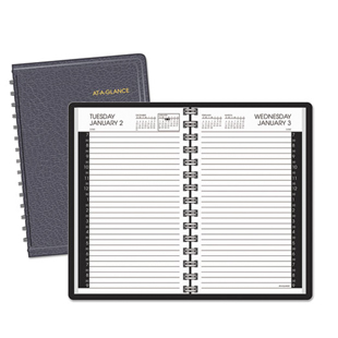 At-A-Glance Daily Appt Book