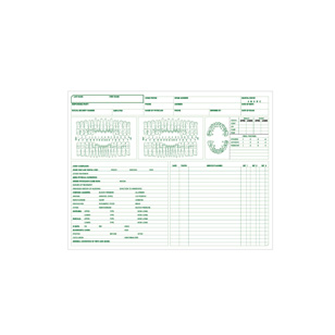 Patient Care Dental Chart Form