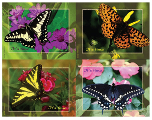 Butterflies Laser Cards
