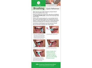 Brushing Quick Reference Card