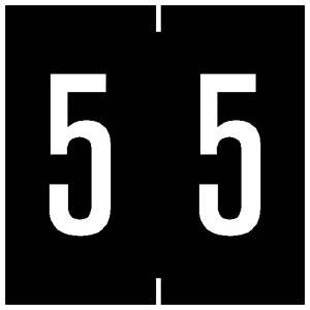 Ames Compatible Numeric Labels