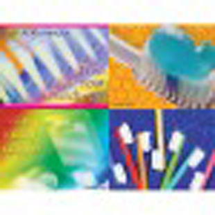 Assorted Bright Toothbrush