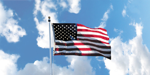 U.S. Flag Light Panel