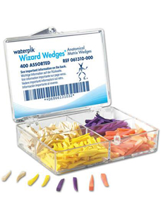 Wizard Wedges Anatomical
