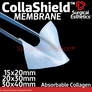 CollaShield Collagen Membrane
