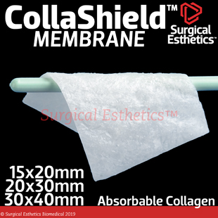 CollaShield Collagen Membrane