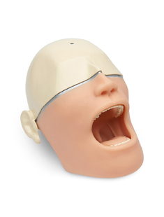 Oral Anesthesia Manikin