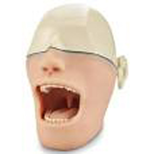 Oral Anesthesia Training