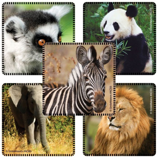 Favorite Animals Stickers