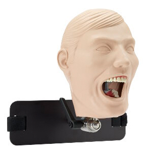 Manikin SM-PVR-860 Model