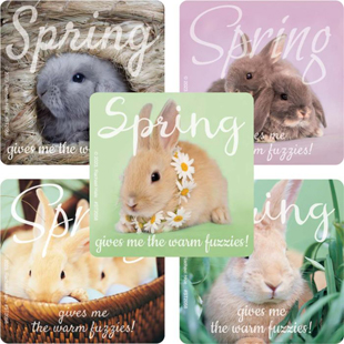 Rachael Hale Spring Fuzzies