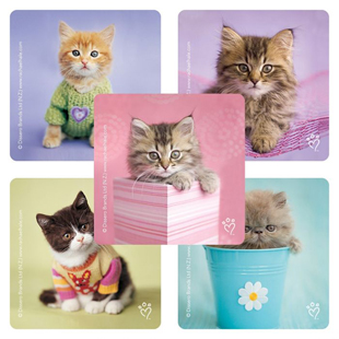 Rachael Hale Cats Stickers