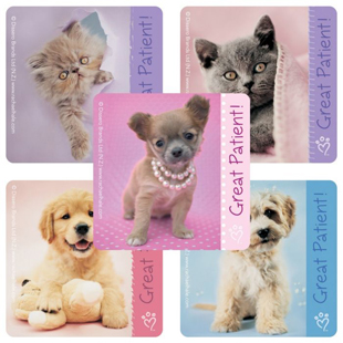 Rachael Hale Patient Stickers