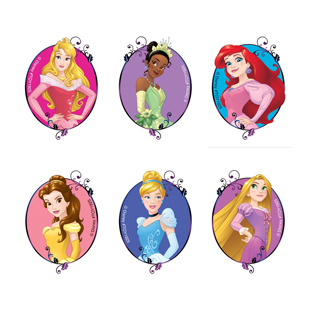 Disney Princess Temporary