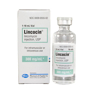 Lincocin 300mg/ml 10ml Vial Rx