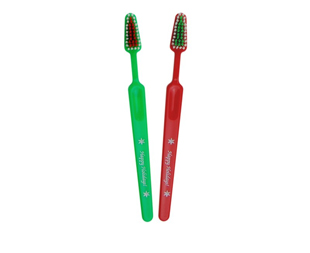 Holiday Toothbrush Adult