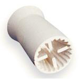 Prophy Cups Traditional Web