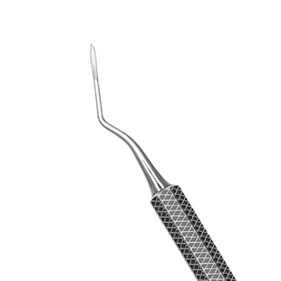 2 West Apical Root Pick #1