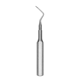 2 West Apical Root Pick