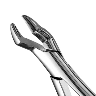 10S Extraction Forceps