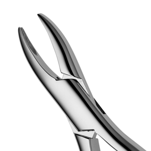 1 Standard Pedo Forceps