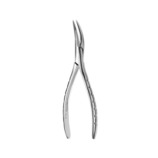 300 Root Forceps Serrated