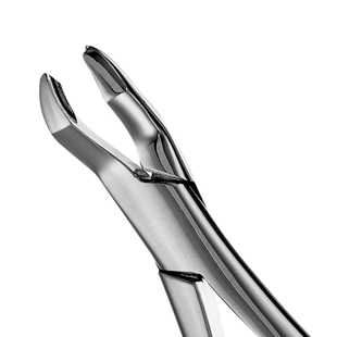 53R Extraction Forceps