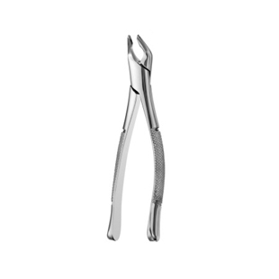 151 Apical Forceps