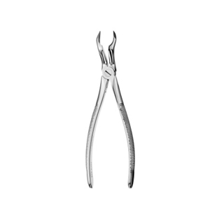 X67A Apical Forceps
