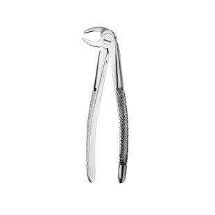 33 European Style Root Forceps