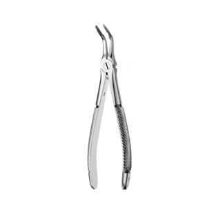 46L European Style Root Forcep