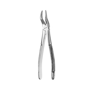 51 European Style Root Forceps
