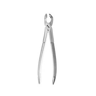 79 European Style Forceps