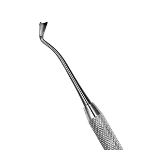 Kincheloe Gingival