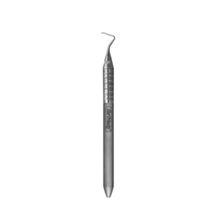 XS15 Towner Scaler SE #6